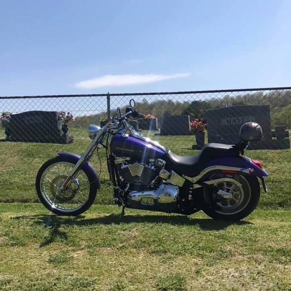 Meet your Posher, Brad - Picture 1 of 1